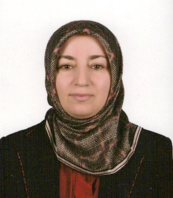 Ayşe ARI